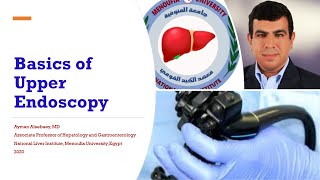 Basics Of Diagnostic Esophagogastroduodenoscopy EGD [upl. by Yorke]