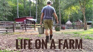 Life On A Farm  Morning amp Evening Chores  Our Daily Homestead Routine [upl. by Jensen283]