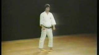 Bassai Sho  Shotokan Karate [upl. by Eveineg]