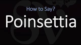 How to Pronounce Poinsettia CORRECTLY [upl. by Arlinda487]