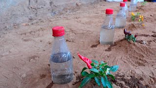 Como Hacer RIEGO POR GOTEO con botellas de plástico reciclado [upl. by Purcell965]