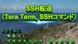 【SSH】SSH転送Tera Term SSHコマンドによる設定 [upl. by Dysart]