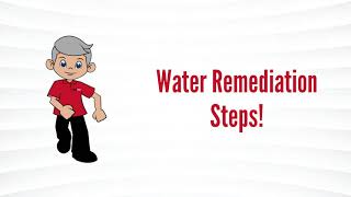 Water Remediation Steps [upl. by Ljoka]