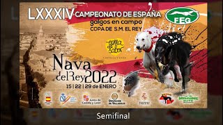 quot SEMIFINALES Campeonato de España de Galgos quot [upl. by Siward]