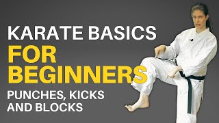 Karate Basics for Beginners Followalong Lesson [upl. by Haianeb636]