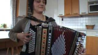 Steirische Harmonika  Michi Polka [upl. by Maccarthy822]