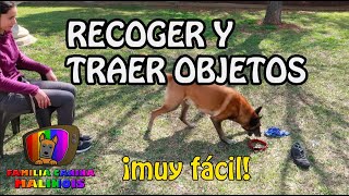 ENSEÑAR a un perro a RECOGERTRAER OBJETOS  Adiestramiento de perros [upl. by Nilad]