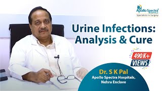 How to CURE urinary tract infection UTI  Doctor explains [upl. by Isacco52]