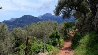 Wanderung Port de Sóller  Sóller [upl. by Rodolphe]