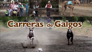 🏁quotCARRERA DE GALGOSquot🏁 6 Serie TRADICIONES [upl. by Aihsekan]