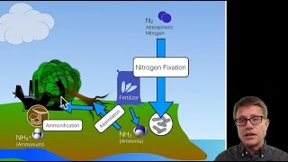 Biogeochemical Cycles [upl. by Eidolem]