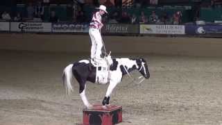 Tommie Turvey – Roman Riding amp Trick Roping  Night of the Horse 2015  Del Mar National Horse Show [upl. by Airitak999]