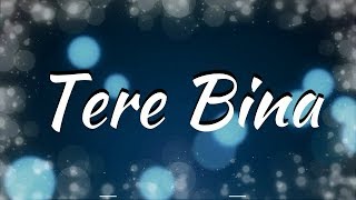 Tere Bina Lyrics  Zaeden ft Amyra Dastur Kunaal Verma [upl. by Elspeth418]