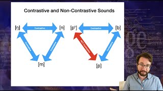 Introduction to Linguistics Phonology 1 [upl. by Einnod874]