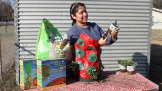 How to Use a Topsy Turvy Strawberry Planter [upl. by Leeland]