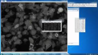 ImageJ How to Measure Mean Fluorescence Intensity Over Timelapse Image Stack Condensed [upl. by Litha667]