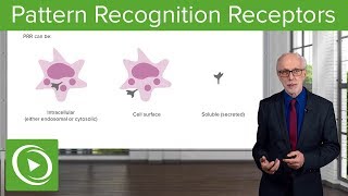 Pattern Recognition Receptors PRRs – Immunology  Lecturio [upl. by Aicileb]