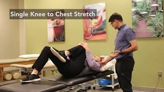 Wellstar OrthoSport How to Stretch for Sciatica Pain Relief [upl. by Suhcnip]