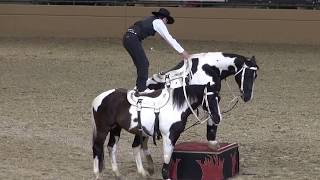 Tommie Turvey Extreme Roman Riding  Night of the Horse 2015  Del Mar National Horse Show [upl. by Eldwun]