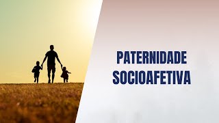 Paternidade socioafetiva [upl. by Meli]