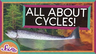 From Seasons to Salmon All About Cycles  SciShow Kids Compilation [upl. by Yojal593]