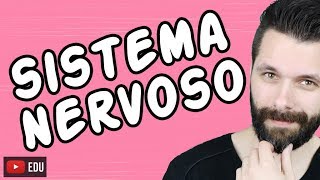 SISTEMA NERVOSO  FISIOLOGIA  Aula  Biologia com Samuel Cunha [upl. by Iphigenia]