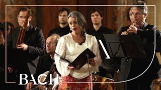 Bach  Cantata Wir danken dir BWV 29  Van Veldhoven  Netherlands Bach Society [upl. by Gnoy129]