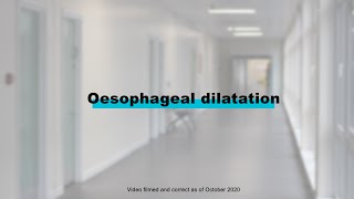 Endoscopy Procedures  Oesophageal Dilatation [upl. by Llertal]