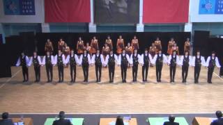 Turkish Folk Dances  HORON [upl. by Nalac]