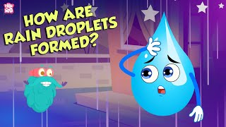 How Are Rain Droplets Formed  WATER CYCLE  The Dr Binocs Show  Peekaboo Kidz [upl. by Reynard317]