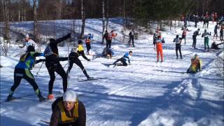 Vasaloppet 2012 crashes cut Risberg vurpor [upl. by Dare414]