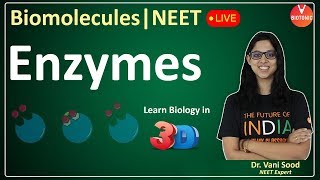 Biomolecules  Enzymes  CBSE Class 11 Biology Chapter 9  NEET 202324  Vani Maam [upl. by Brotherson]