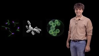 Karl Deisseroth Stanford  HHMI Development of Optogenetics [upl. by Danelle]