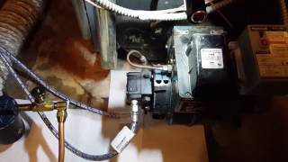 Tigerloop Oil Deaerator Install on Boiler [upl. by Suoinuj484]