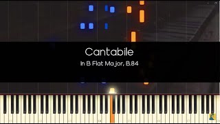 Frédéric Chopin Cantabile in BFlat Major B 84 Anatol Ugorski [upl. by Kcirdez]