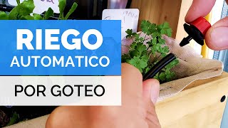 RIEGO AUTOMATICO para HUERTO URBANO 💧  Tutorial  Paso Sustentable [upl. by Barret]