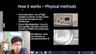 Transfection of mammalian cells [upl. by Einnahpets]