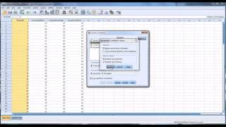 Correlation in SPSS [upl. by Beeck562]