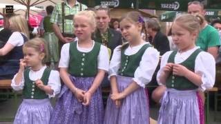 Maifest in Mautern [upl. by Fleeta218]