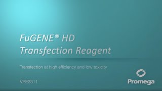 FuGENE® HD Transfection Reagent Video [upl. by Atilrak]