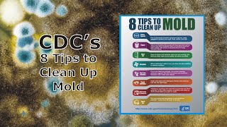 8 Tips from the CDC to Clean Up Mold [upl. by Etnuaed]