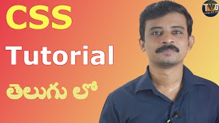 CSS TUTORIAL IN TELUGU  Part 1  CSS Introduction  Telugu Web Guru [upl. by Johnsson622]