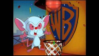 Kids WB Bumbers And IDs part 2 [upl. by Othe]