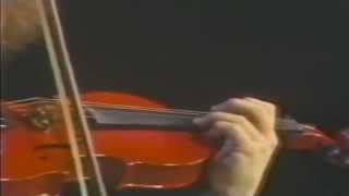 JeanLuc Ponty Live 1976 [upl. by Nerehs]