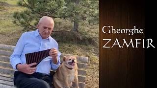 Gheorghe Zamfir live in his garden [upl. by Aitital]