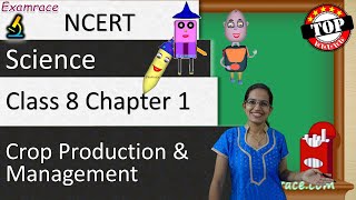 NCERT Class 8 Science Chapter 1 Crop Production amp Management NSONSTSEOlympiad  English [upl. by Burwell]