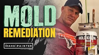 Mold Remediation How to Get Rid of Mold [upl. by Ailis]