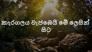 සිංහල 11 ශ්‍රේණිය  කෑරගලය වැජඹෙයි මේ ලෙසින් සිට [upl. by Ivonne]