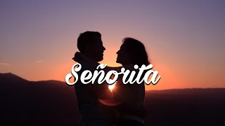 Shawn Mendes amp Camila Cabello  Señorita Lyrics [upl. by Eyma438]