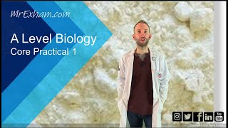 Core Practical 1  A Level Biology [upl. by Rednas314]